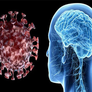 ویروس کرونا قشر خاکستری مغز را تغییر می‌دهد