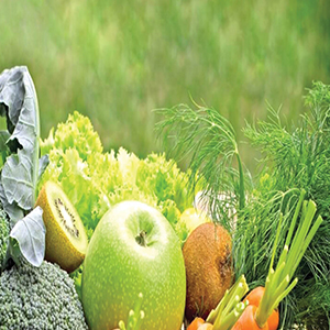 خوراک خوش‌اخلاق‌ها