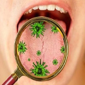 کروناویروس در غدد بزاق دهان تکثیر می شود