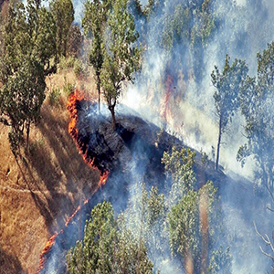 تداوم آتش‌سوزی در جنگل‌های «نارک» و «کوه خامی»