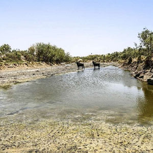 تنش آبی در ۷۰ روستای خوزستان رفع می‌شود