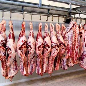 کاهش ۵۰ درصدی مصرف گوشت قرمز در ایران/ رئیس شورای تامین دام: جگر دام‌ها بر اثر خشکسالی سوراخ شده