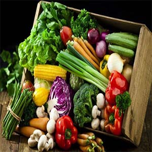 گیاهخواری باعث کمبود ویتامین B۱۲ می‌شود