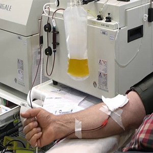 اشتباه عجیب سازمان انتقال خون درباره بهبود یافتگان کرونا