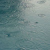 دستور وزیر نیرو برای استفاده از دعا جهت بارش باران در وزارتخانه