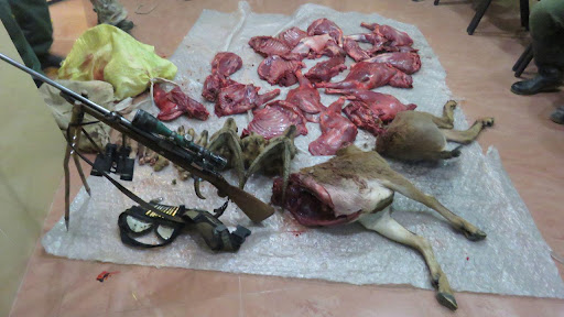 کشته شدن یک شکارچی غیرمجاز در پارک ملی گلستان/ بقیه شکارچیان فرار کردند