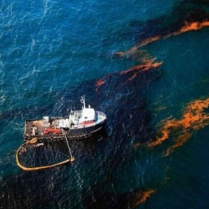 سایه مرگبار آلودگی های نفتی بر سر آبزیان خلیج فارس