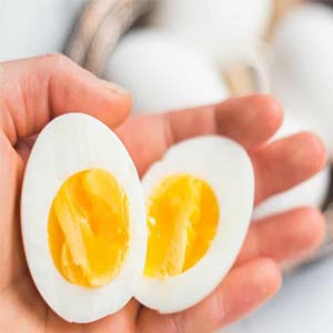 مصرف روزانه تخم مرغ مفید است یا مضر؟