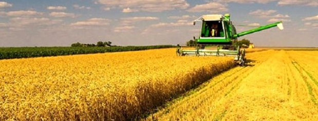 تشدید تغییر کاربری اراضی زراعی در نتیجه تصویب "طرح تقویت پشتیبانی و رفع موانع تولیدات کشاورزی"