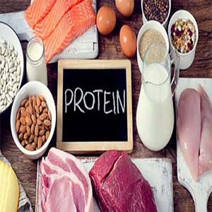 پروتئین رابط اصلی میان سرکوب اشتها و چاقی است