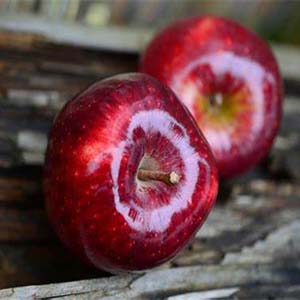 خواص سیب پخته؛ از درمان یبوست تا کنترل بیماری‌های قلبی