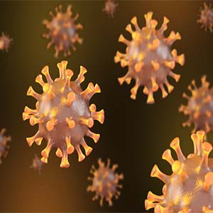 آیا همه‌گیری کووید-۱۹ باعث انقراض ویروس آنفلوآنزا شده است؟