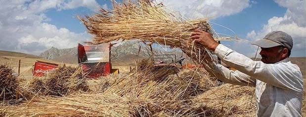 رویترز مدعی شد: بحران کمبود آرد در ایران
