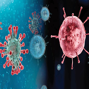 کرونا خودکشی نمی‌کند