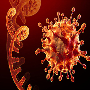 سکانس ژنی تست‌های PCR برای شناسایی کرونای «اُمیکرون»/ تاکید بر رصد دقیق پایانه‌های مرزی